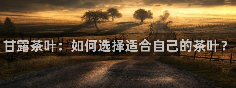 龙八国际娱