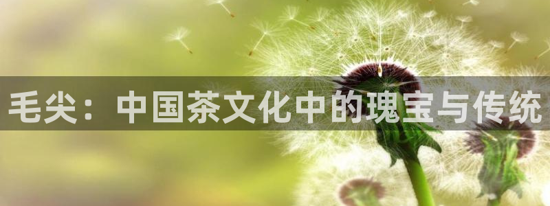 龙八国际娱乐网站
