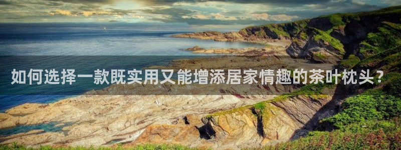 龙八国际管网登陆