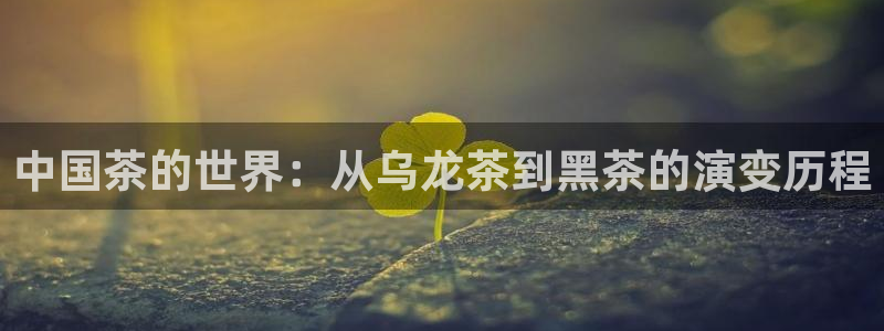 龙八国际手机版下载平台