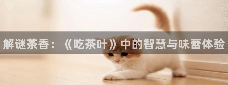 苹果怎么下载龙八国际