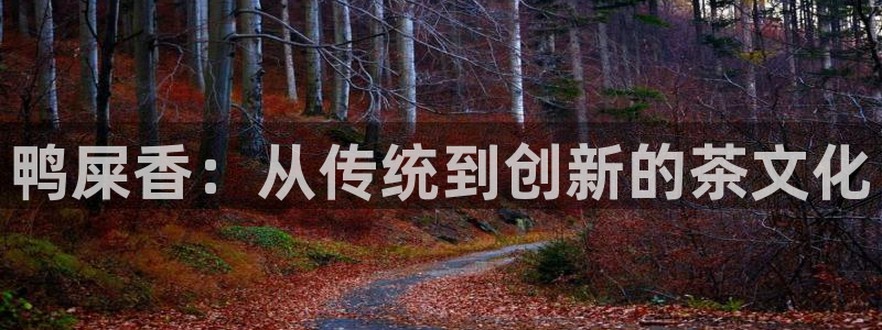 龙八国际app客户端下载手机版