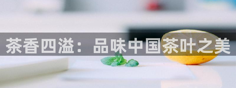 龙八国际视频网站