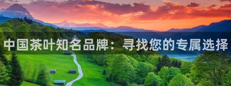 菲律宾龙八国际杀猪