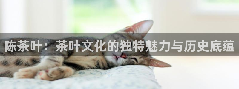 龙八国际登