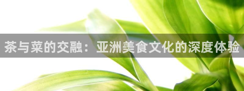 龙八国际app安卓