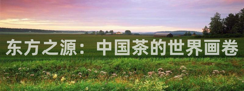 龙八国际登官网
