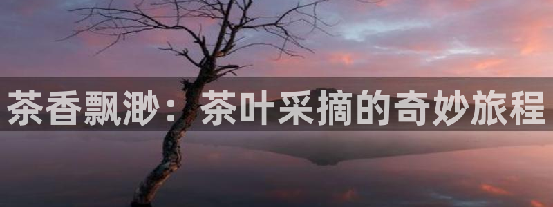 龙八国际下载app苹果