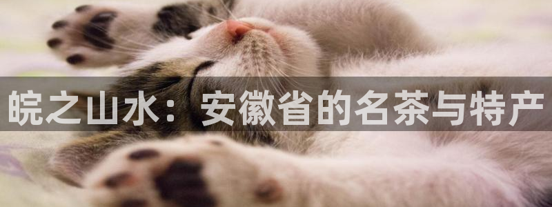 下载龙八国际官网