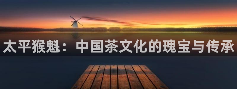 龙八国际可以京东充值吗