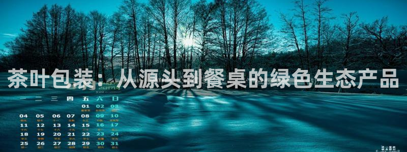 龙八国际安全吗