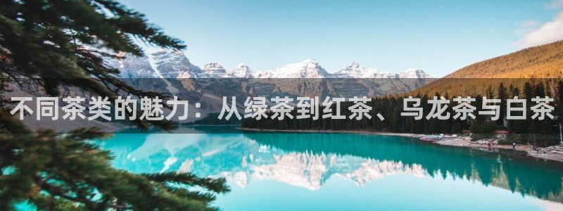 龙八国际黑钱