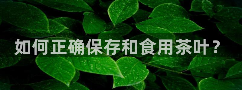 龙八国际app手机版下载安卓