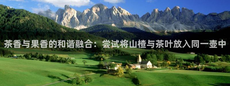 龙八国际网页