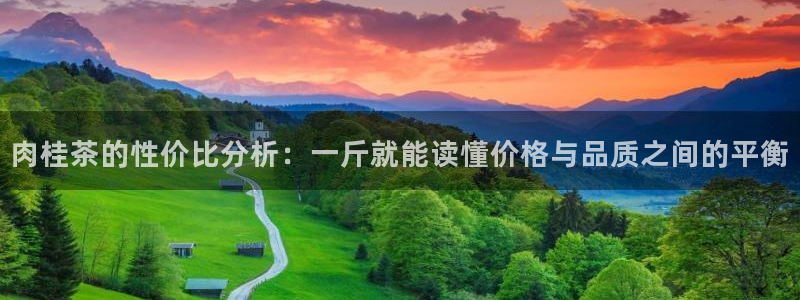 龙八国际平台可靠吗