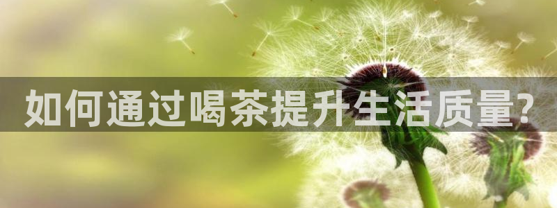 龙八国际是缅甸的吗