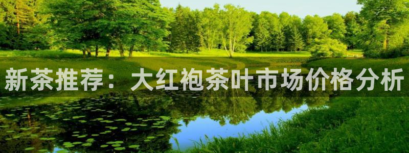 龙八国际网