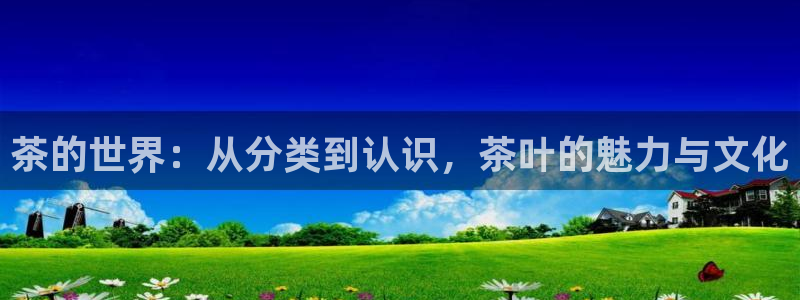 龙八国际城网址