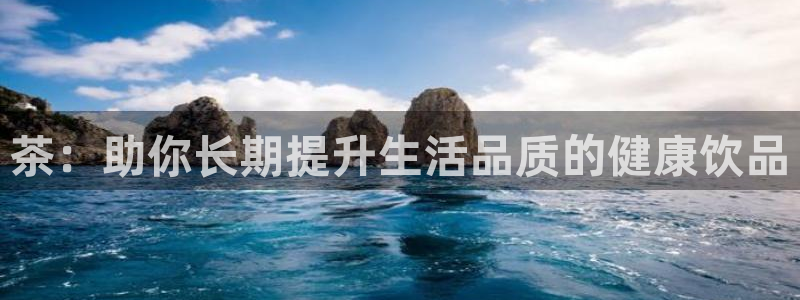 龙八国际APP客户