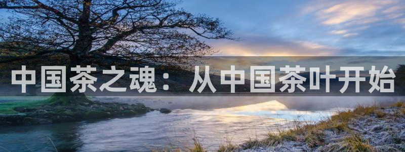 龙八国际手机网页版