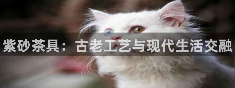 龙八国际网页long8868