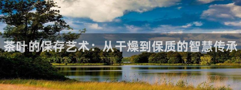龙八国际下载官网平台