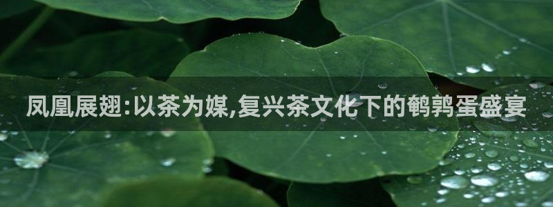 龙八国际发哥下载