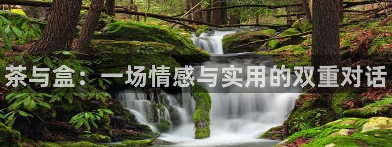 龙八国际服官网下载