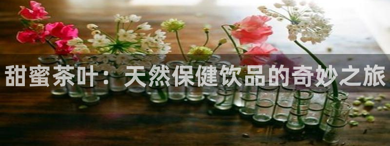 龙八国际官网手机版登录