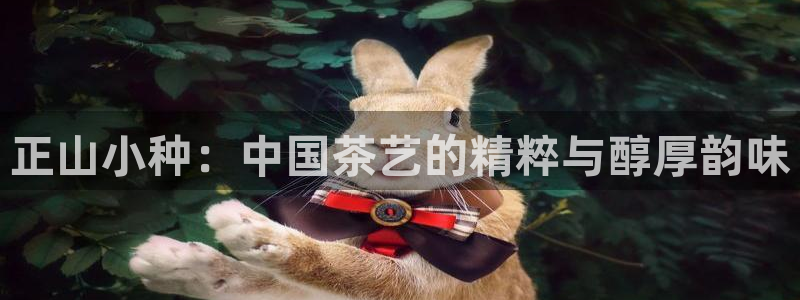 龙八国际官方登录
