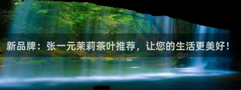龙八国际在哪里啊
