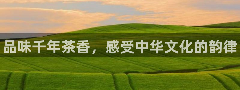 龙八国际官网手机端