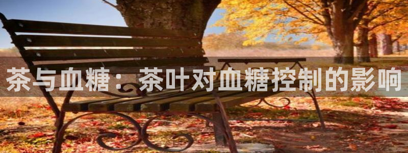 龙八国际官方网站