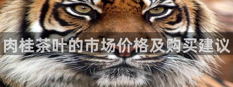 龙八国际娱乐网址