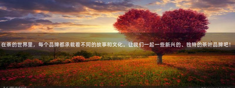 龙八国际视频入口