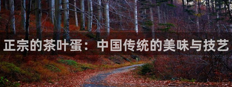 手机版龙八国际官网