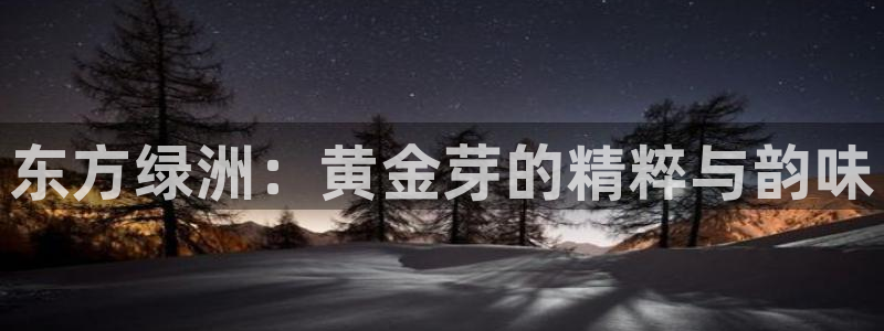下载龙八国际手机端