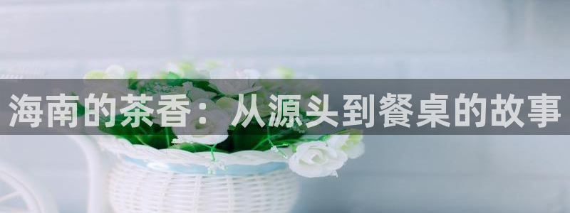 龙八国际跑路了吗