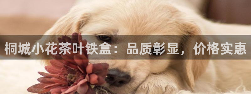 l龙八国际