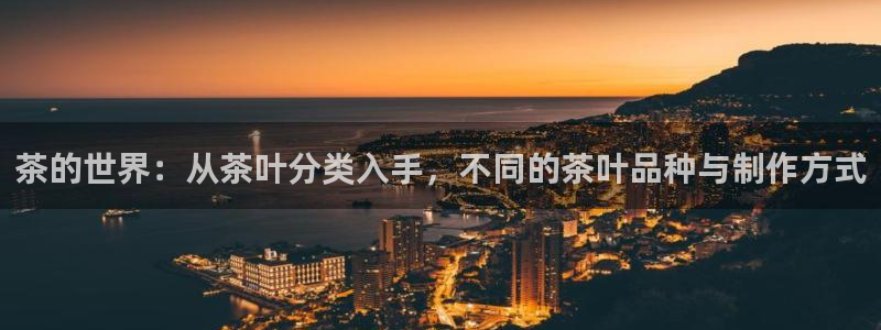 龙八国际网页
