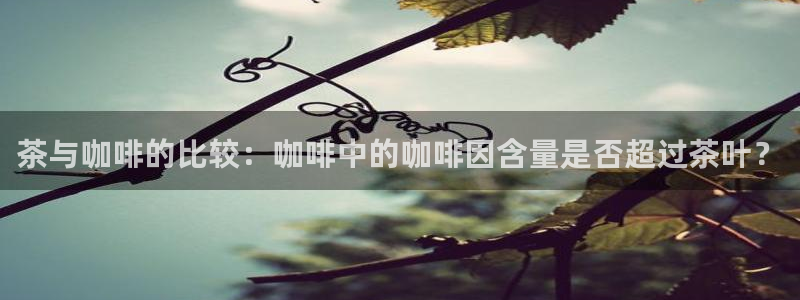 龙八国际app