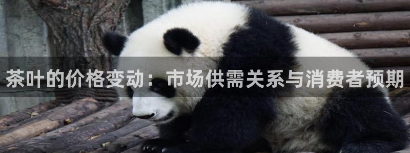 龙八国际公司是真是假