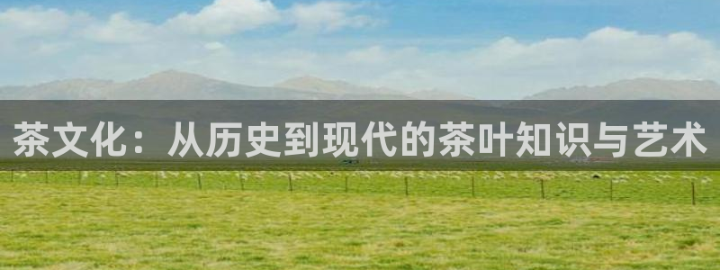 龙八国际优惠券有什么用