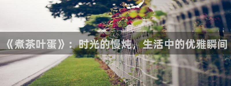 龙八国际娱乐会所