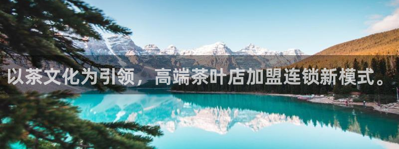 龙八国际娱手机