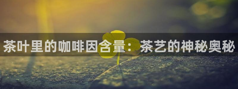 龙八国际平台下载