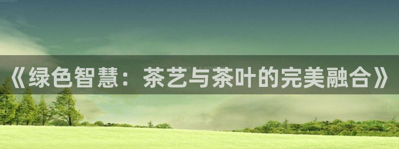 龙八国际娱乐网站