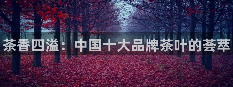 龙八国际手机在线登录