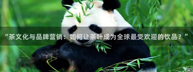 龙八国际网址