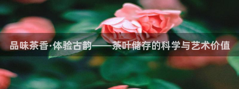 龙八国际免费下载